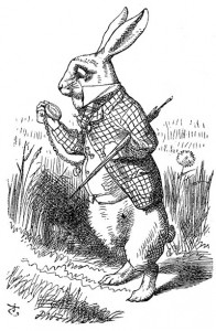 lapin-blanc