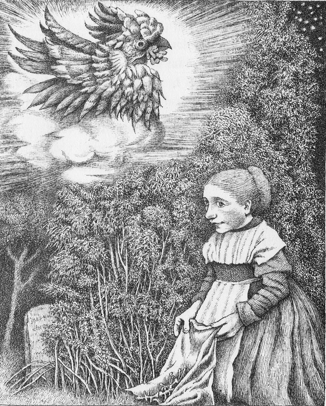 junipertree001