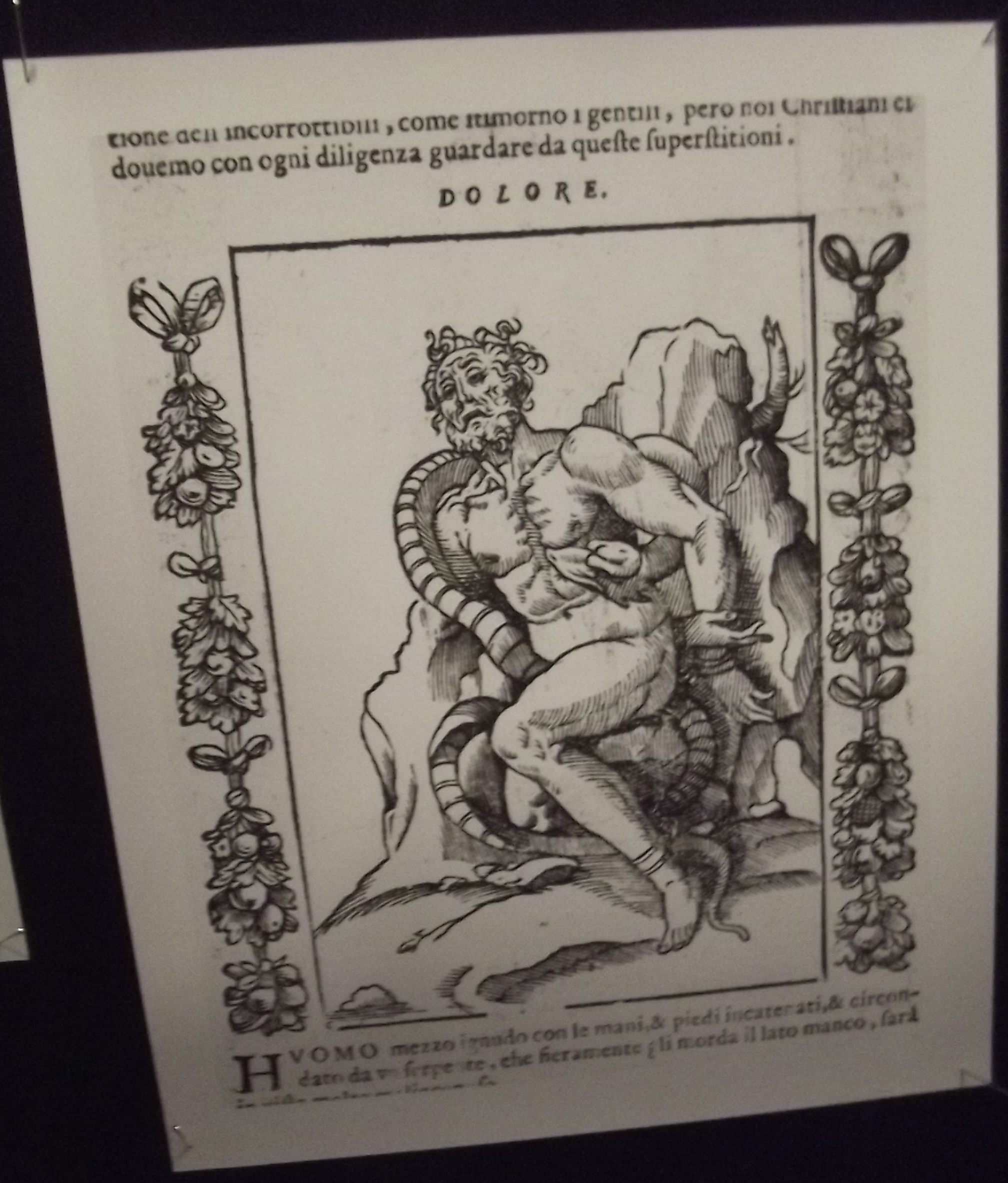 Laocoon symbole de la douleur. In Cesare Ripa "Iconologia" (1603)